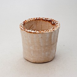 陶器製（2号ポット相当） #多肉植物 の欲しがる 植木鉢  SSS-5486 1枚目の画像