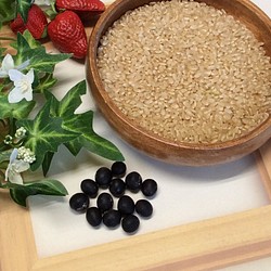送料無料R4年産自然栽培丹波篠山コシヒカリ新玄米3合450g黒大豆付き(黒豆ご飯ができます) 1枚目の画像