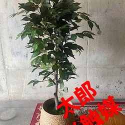 光触媒 人工観葉植物 ウォールグリーン フェイク フラワー フィカス