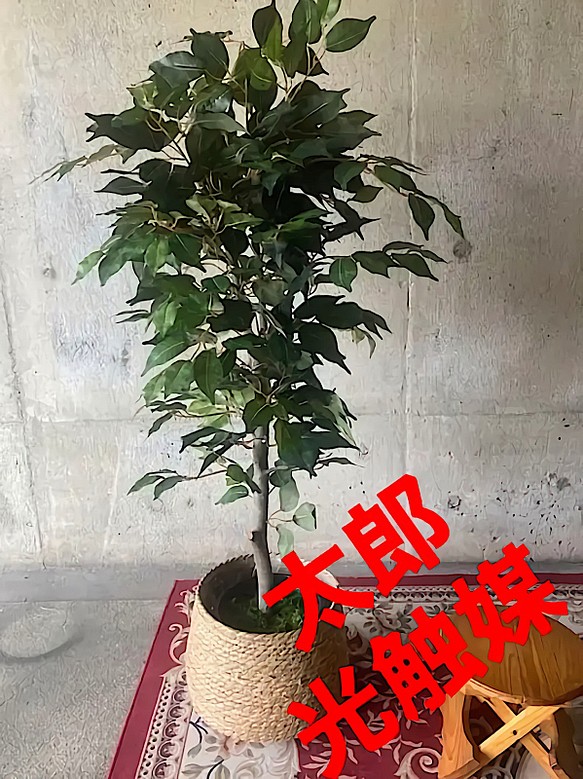 ◇在庫限り◇ 光触媒人工観葉植物ウォールグリーンフェイク