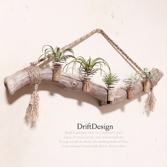 Drift Design〜 味わい流木のお洒落な多用途５連コルクホルダー エア
