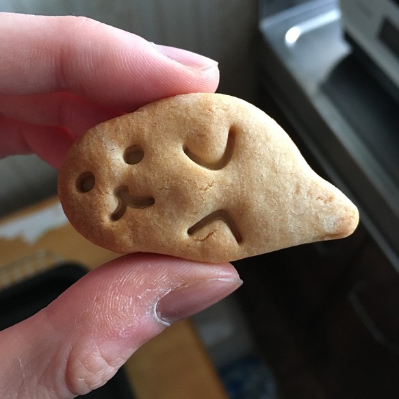 ゴマフアザラシ　クッキー　型 1枚目の画像