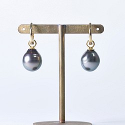 BlackPearl / K18YG earring 【like earrings】-