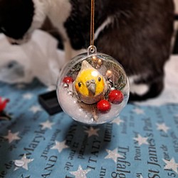 クリスマスオーナメント オカメインコ 陶器小鳥 現品限り