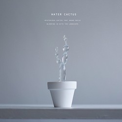 water cactus (mini)　七宝樹 1枚目の画像