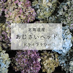 紫陽花（あじさい） ドライフラワー のおすすめ人気通販｜Creema