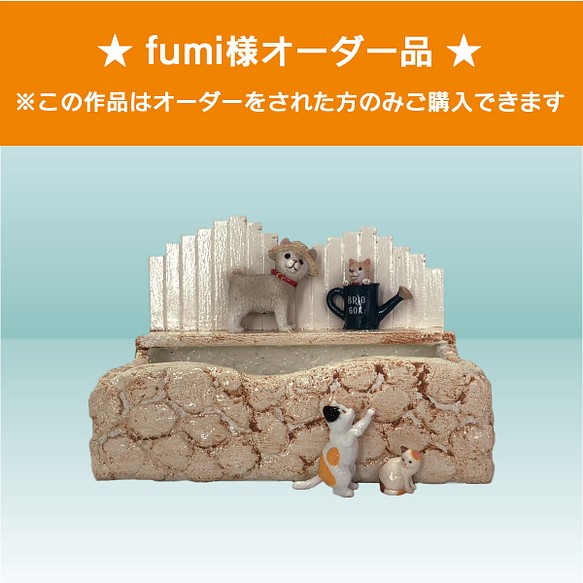 多肉植物専用プランター〈vol.53〉★fumi様オーダー品