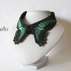 蝶々付け衿:アオスジアゲハ 1枚目の画像