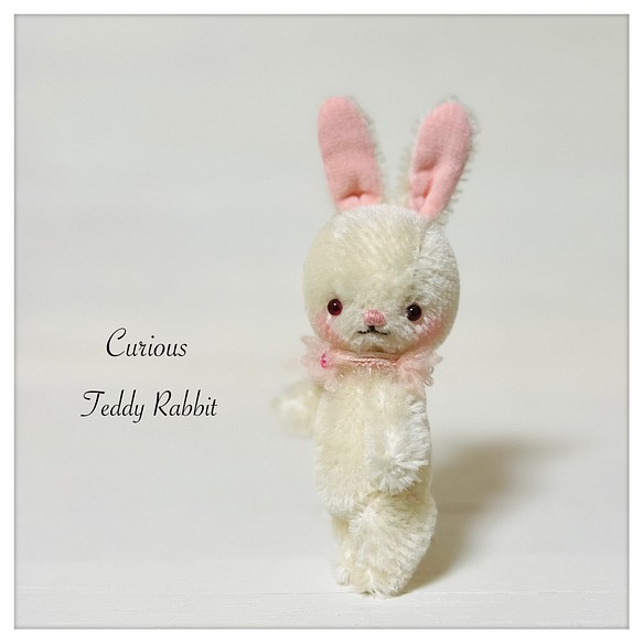 teddy 白いウサギちゃん ぬいぐるみ curious 通販｜Creema(クリーマ)