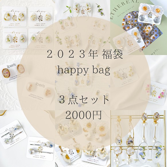 【送料無料】ﾋﾟｱｽ/ｲﾔﾘﾝｸﾞ3点ｾｯﾄ ハッピーバッグ happybag 2023