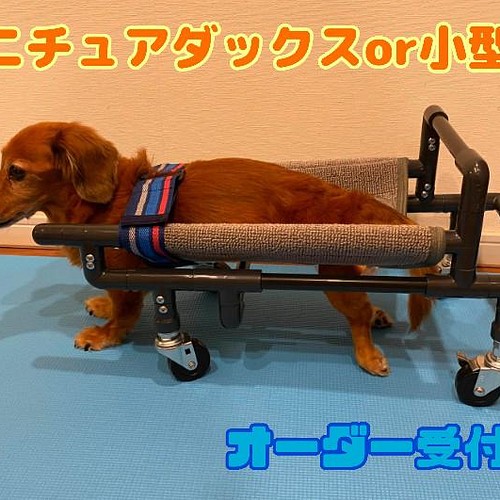 初の折りたたみスマホ トイプー4輪歩行器!リハビリ!食事補助!犬の歩行