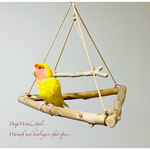 流木インテリア  シンプルな天然流木の小鳥の止まり木 吊り下げタイプ インコ 鳥 ブランコ 自然木 No.2 1枚目の画像