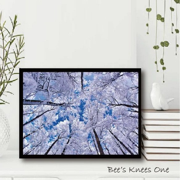 アートポスター 冬　下から見上げる青空 1枚目の画像