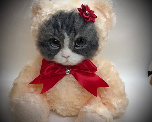 可愛いくまの着ぐるみ猫ちゃん‍❄️ 羊毛フェルト スコティッシュ