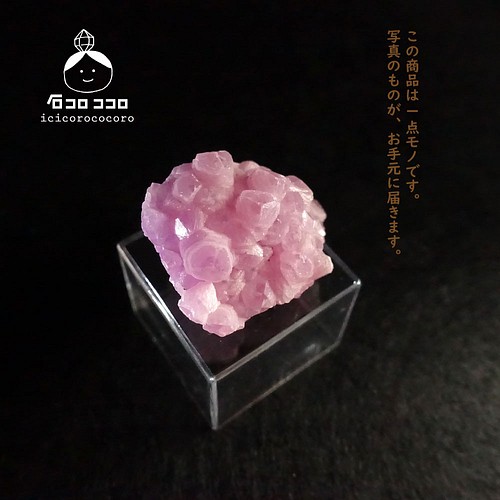 モロッコの砂漠から！３キョーダイ コロコロ水晶◇直輸入03【かわいい