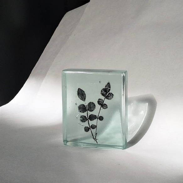 「Botanical Cube/ノイバラ」ガラス　植物標本　ペーパーウェイト 1枚目の画像