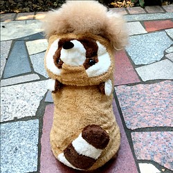 犬服 可愛い ペットウェア 犬ウェア  冬  アライグマ 狸 タヌキ 1枚目の画像