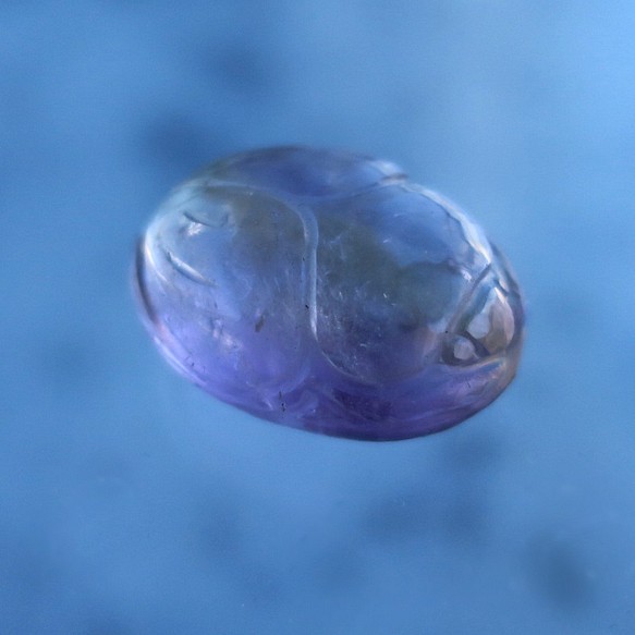 紫黃晶甲蟲 第1張的照片
