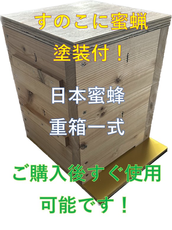 板厚３３mm 日本蜜蜂 巣箱 重箱 待ち箱 ニホンミツバチ 木材・板 日本 