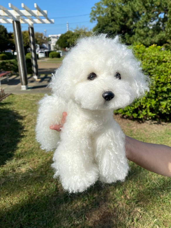 愛犬ちゃんのそっくりなリアルなペット人形をお作りします！　羊毛フェルト　犬　オーダー　ぬいぐるみ　愛犬　　ペット　リアル 1枚目の画像