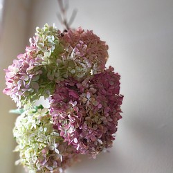 秋色紫陽花ミナヅキのドライフラワー大きな４本セット ドライフラワー