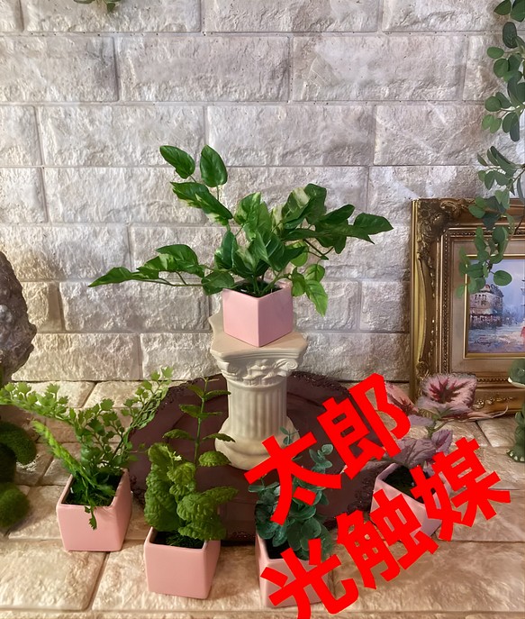 光触媒 人工観葉植物 ウォールグリーン フェイクグリーン 壁掛け