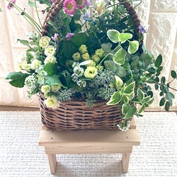 [母の日にプレゼント] 花かごにかわいい寄せ植え　プランツギャザリング 1枚目の画像
