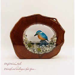 一つ限りの流木アート カワセミ ジオラマ 流木 フィギュア 置物 鳥 インテリア レジン テラリウム 水辺 N8 1枚目の画像