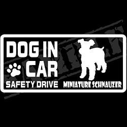 『DOG IN CAR ・SAFETY DRIVE・ミニチュアシュナウザー』ステッカー　8cm×17cm 1枚目の画像