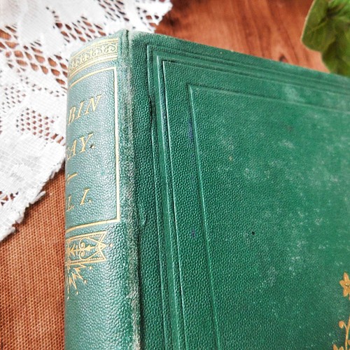 ゜+ 1869年 エレガントな英国の古書 アンティークブック ヴィンテージ 
