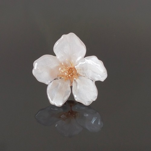 No.2305】Everpink Sakura. 本物の桜のリング サージカルステンレス 
