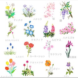 16枚の春の花ポストカードセット 1枚目の画像
