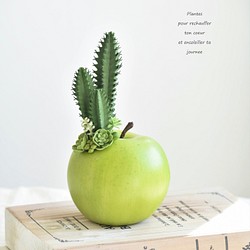 タニクアップル！？ 青リンゴとサボテンと多肉植物　フェイクグリーン　アーティフィシャルフラワー 1枚目の画像