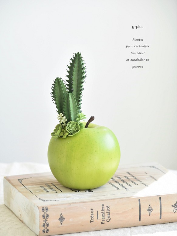タニクアップル！？ 青リンゴとサボテンと多肉植物　フェイクグリーン　アーティフィシャルフラワー 1枚目の画像