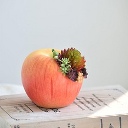 【限定１点】タニクアップル！？ リンゴと多肉植物　フェイクグリーン　アーティフィシャルフラワー 1枚目の画像