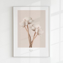 【アートポスター】北欧　ポスター　アート　写真　シンプル　モダン　ホワイト　花　子供　かわいい　抽象　ピンク　英字 1枚目の画像