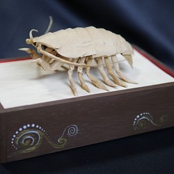 “巨型甲蟲”寶箱 第1張的照片