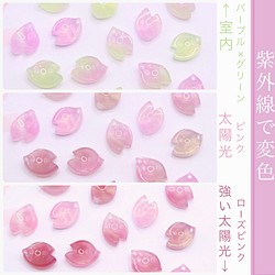 オリジナル変色素材★桜の花びらパーツ　アセテート　パープル×グリーン→ローズピンク 1枚目の画像