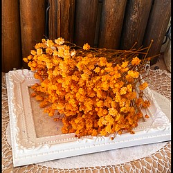 アンティークプリザカスミ草鮮やかオレンジ小分け❣️ハンドメイド花材プリザーブドフラワー 1枚目の画像