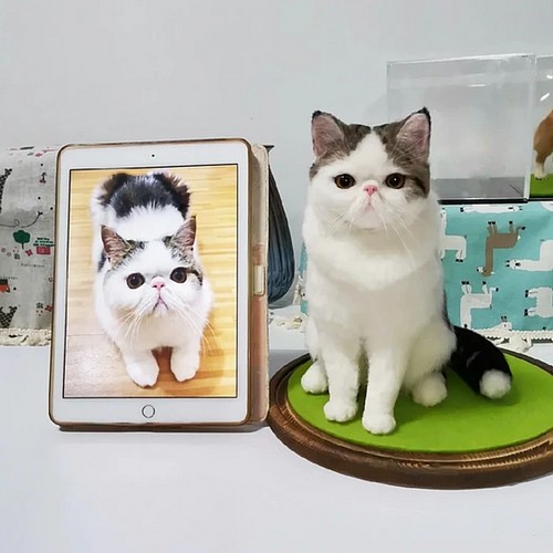 オーダーメイド】【お値段以上】羊毛フェルト うちの猫 | eclipseseal.com