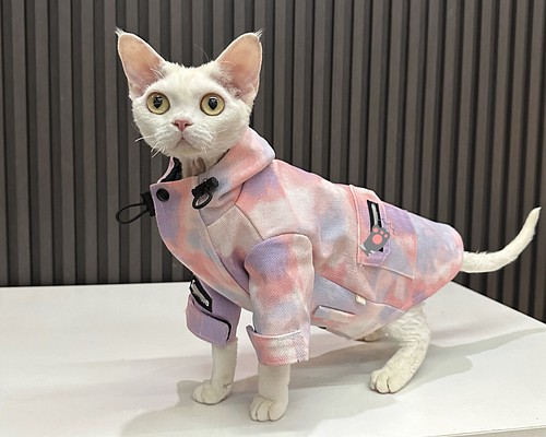 猫服 スフィンクスネコ かわいい 猫ウェア 暖かい 冬 寒い対策 いい