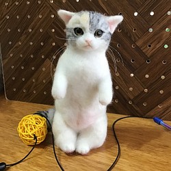 猫（ねこ） 羊毛フェルト のおすすめ人気通販｜Creema(クリーマ) 国内