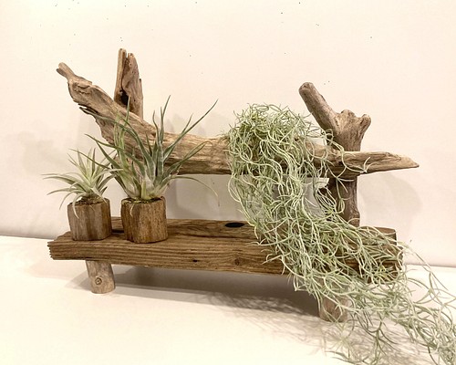 流木のベンチ型飾り棚 棚・シェルフ・ラック Wood Style 通販