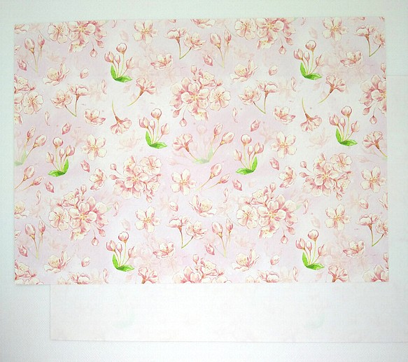 桜の花の上質紙ペーパー（A４サイズ・10枚） 1枚目の画像