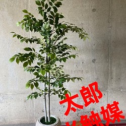 光触媒 人工観葉植物 ウォールグリーン フェイク フラワー マウンテン