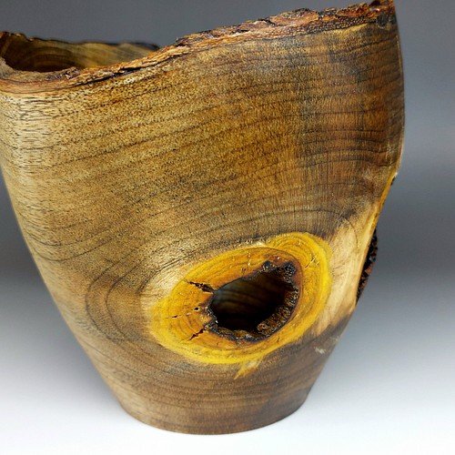 正規品 【YamabikoWoodArt 】 器 漆の木 一点物 工芸品 - www