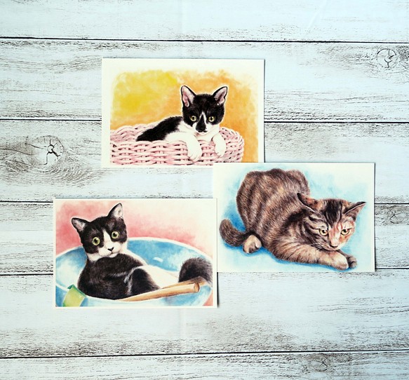 ポストカード猫パステル画３枚セット　〈保護猫カフェのやんちゃな子猫ちゃん達〉 1枚目の画像