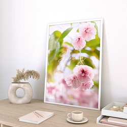 春の花のフォトポスター　/ i1198 / ピンクの桜、モクレン、バラなど　インテリアポスター 1枚目の画像