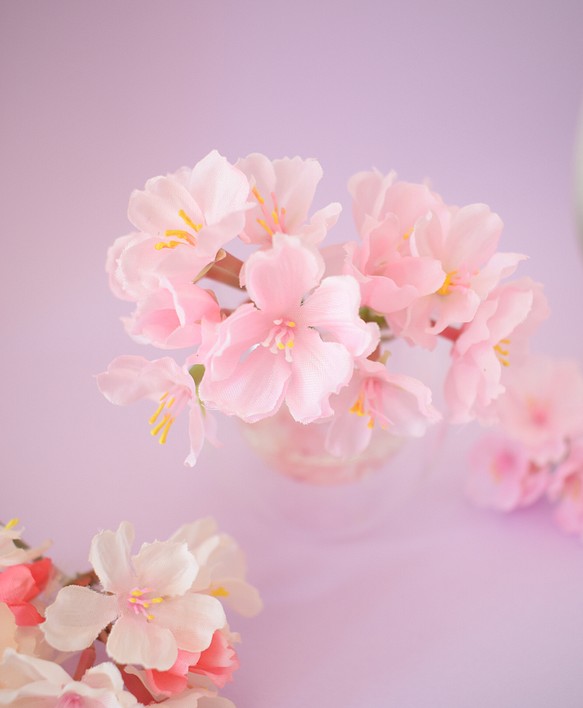 SAKURA桜✴︎春爛漫〜ひな祭り…固まるハーバリウム 1枚目の画像