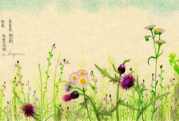 【春の野の植物　おまかせポストカードセット】　10枚入り 1枚目の画像